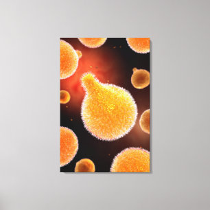 Impressão Em Tela Imagem Conceitual Do Plasmodium Causando Malária 3