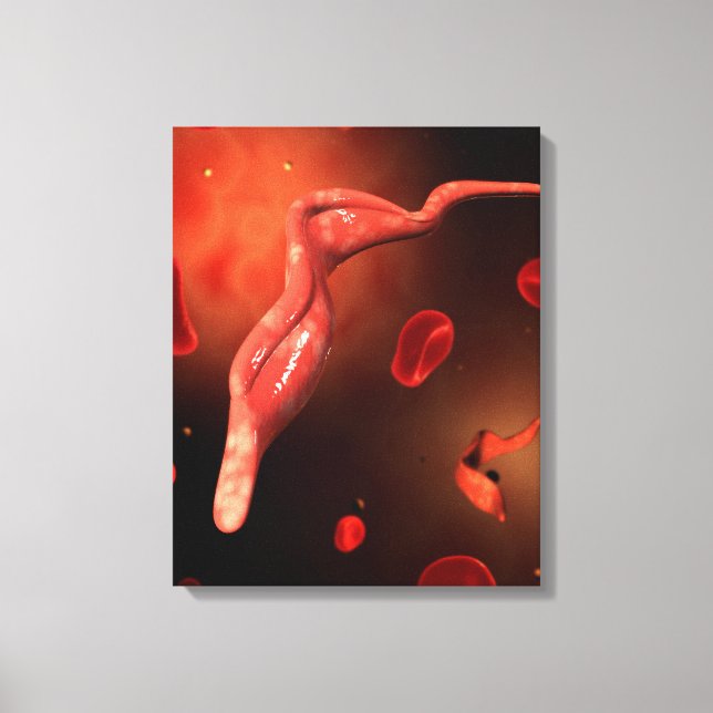 Impressão Em Tela Imagem Conceitual Do Trypanosoma 1 (Frente)