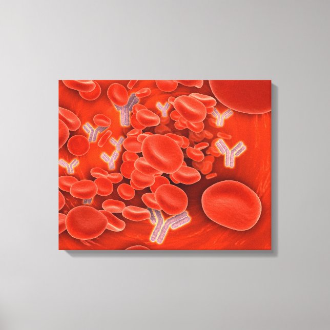Impressão Em Tela Imagem Conceitual Dos Cromossomos Dentro No Sangue (Frente)