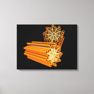 Impressão Em Tela Imagem conceptual das centrioles 1