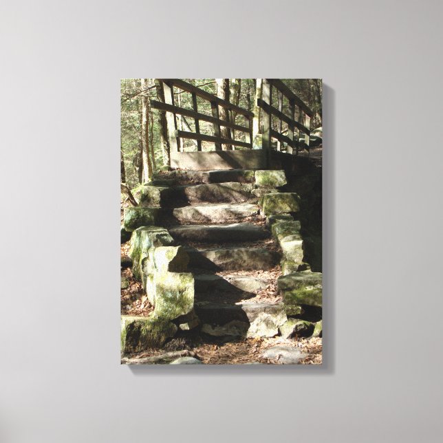 Impressão Em Tela Imagem de escadas na floresta (Frente)