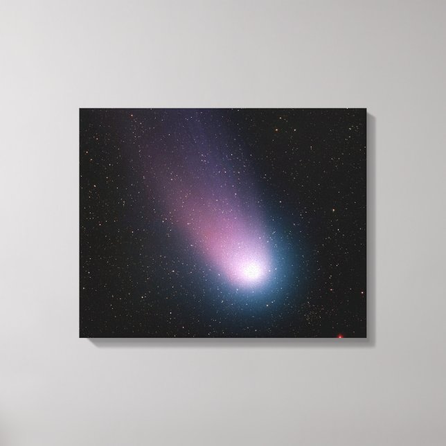 Impressão Em Tela Imagem do cometa C/2001 T4 (NEAT) (Frente)