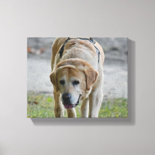 Impressão Em Tela Imagem LAb amarela