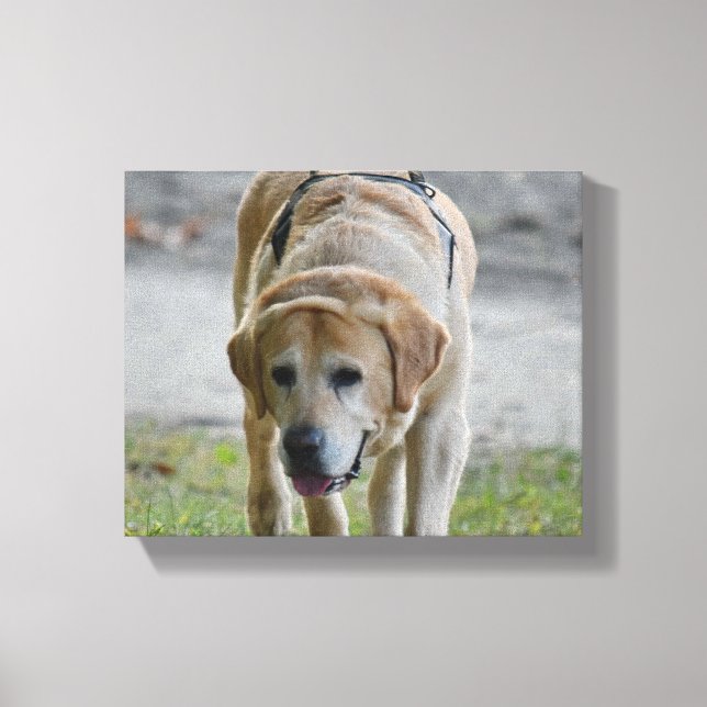 Impressão Em Tela Imagem LAb amarela (Frente)