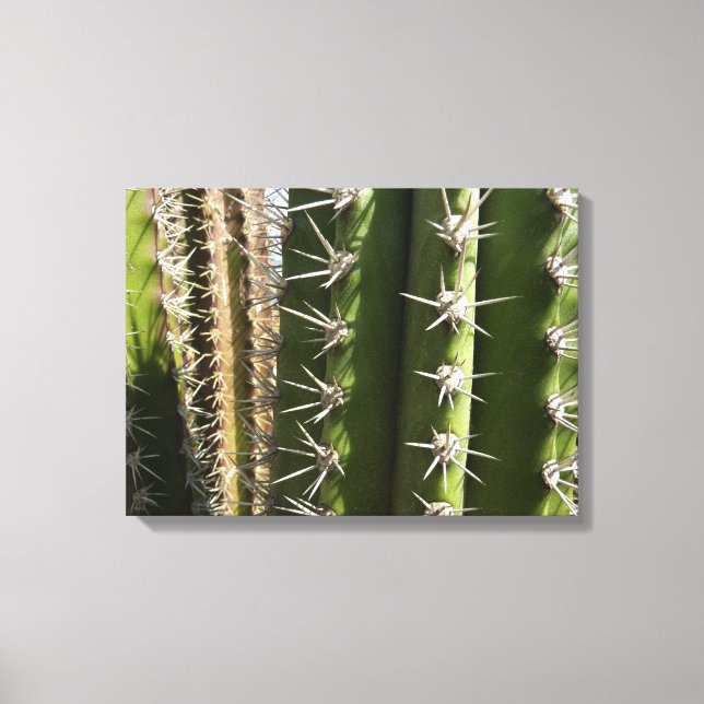 Impressão Em Tela Imagem natural do deserto Barrel Cactus II (Frente)