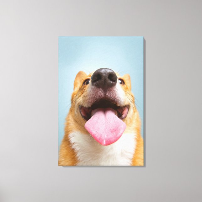 Impressão Em Tela Imagens Getty | Corgi muito feliz (Frente)