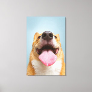 Impressão Em Tela Imagens Getty Corgi muito feliz