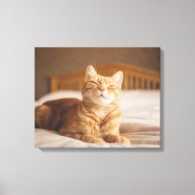 Impressão Em Tela Imagens Getty | Gato Sonolento (Frente)