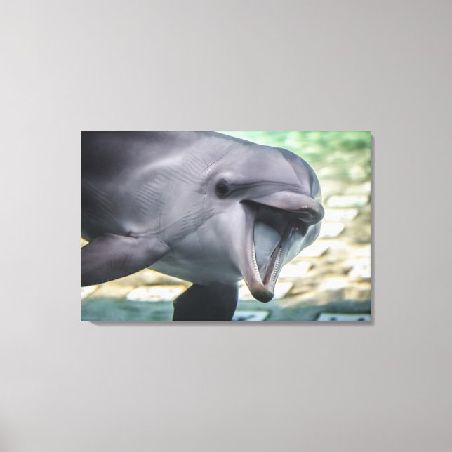 Impressão Em Tela Imagens Getty | Golfinho (Frente)