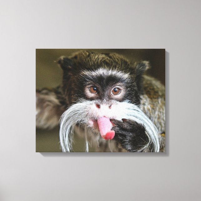 Impressão Em Tela Imperador Cheeky Tamarin Monkey (Frente)