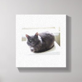 Impressão Em Tela Impressão de tela