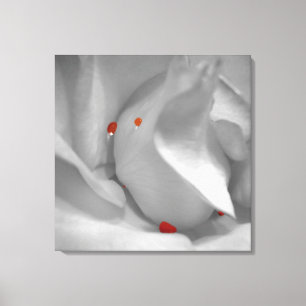 Impressão Em Tela Impressão de Tela de Aquarela