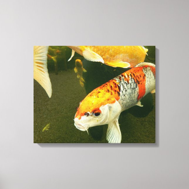 Impressão Em Tela Impressão de tela de carp Koi (Frente)