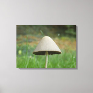 Impressão Em Tela Impressão de tela de cogumelo Conocybe rickenii