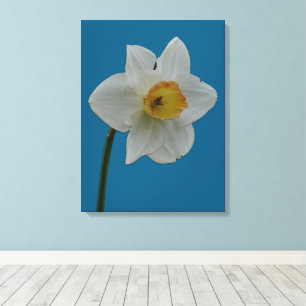 Impressão Em Tela Impressão de tela de desenho Daffodil