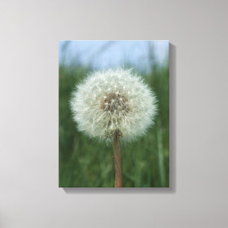 Impressão Em Tela Impressão de tela de desenho Dandelion