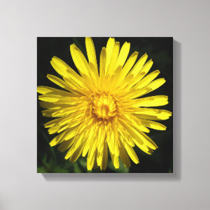 Impressão Em Tela Impressão de tela de desenho Dandelion