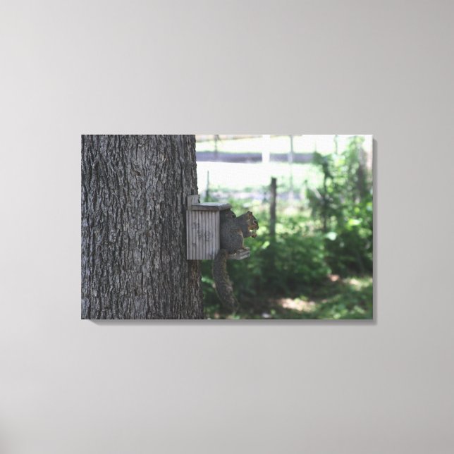 Impressão Em Tela Impressão de Tela de Esquilo (Frente)