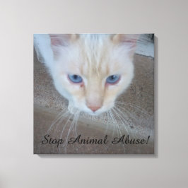 Impressão Em Tela Impressão de tela de gato