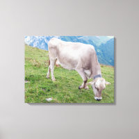 Impressão de tela de visualização de vacas loucas