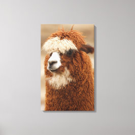 Impressão Em Tela Impressão de tela do Alpaca