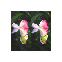 Impressão de tela estendida