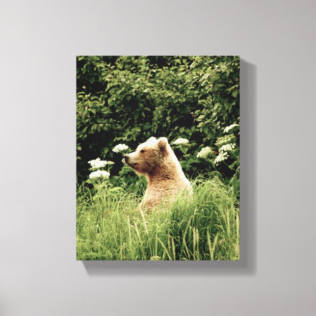 Impressão Em Tela Impressão de tela estendida 8x10 com urso pardo (Frente)