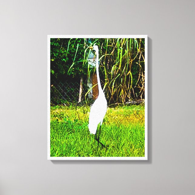 Impressão Em Tela Impressão de tela estendida com Egret branco do ex (Frente)