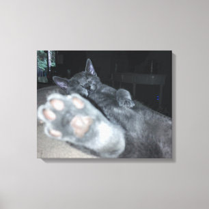 Impressão Em Tela Impressão de tela estendida de 20"x16" da Cat Paw