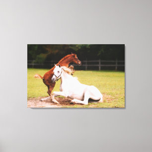 Impressão Em Tela Impressão de tela esticada do Mare Árabe