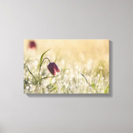 Impressão Em Tela Impressão de Tela Esticada - Modo de Exibição da M