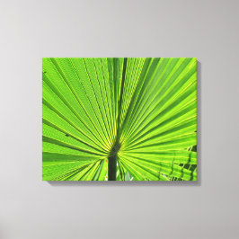 Impressão Em Tela Impressão de Tela - Palm Frond