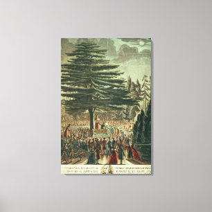 Impressão Em Tela Inauguração do busto de Carl Linnaeus