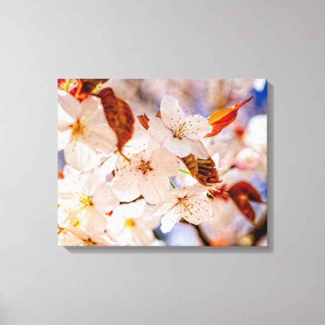 Impressão Em Tela Incrível Conjunto De Flores De Sakura Na Primavera (Frente)
