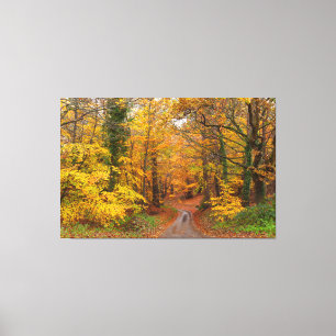 Impressão Em Tela Incrível cor da floresta do outono Inglês com cami
