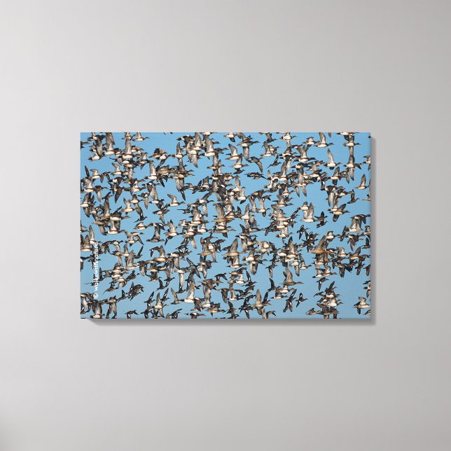 Impressão Em Tela Incrível Patos de inverno no voo (Frente)