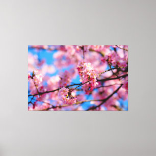 Impressão Em Tela Incrível Sakura Rosa e Céu Azul da Primavera