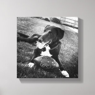 Impressão Em Tela independente