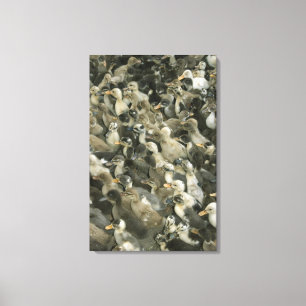 Impressão Em Tela Índia