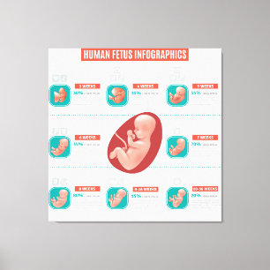 Impressão Em Tela Infográfico de Feto Humano