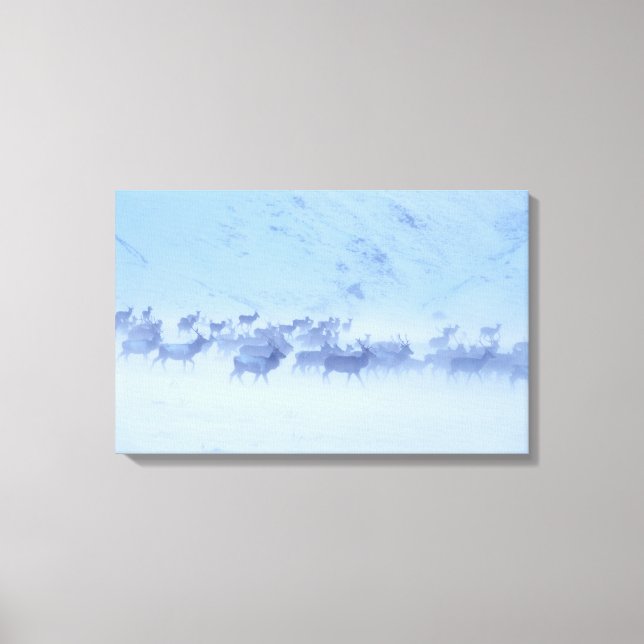 Impressão Em Tela Inglaterra (Frente)