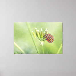 Impressão Em Tela Inseto Vermelho - Mais Uma Garrafa Não Dói