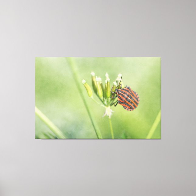 Impressão Em Tela Inseto Vermelho - Mais Uma Garrafa Não Dói (Frente)