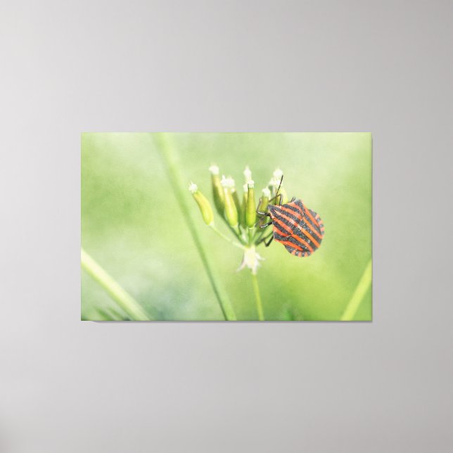 Impressão Em Tela Inseto Vermelho - Mais Uma Garrafa Não Dói (Frente)