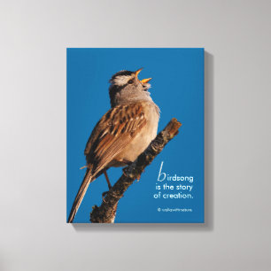 Impressão Em Tela Inspiração "Birdsong é a história da criação"