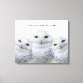 Impressão Em Tela Inspiração Citação Sonhadora de Corujas de Neve