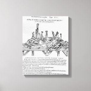 Impressão Em Tela Instrumentos para as dissecções, ilustração 'd