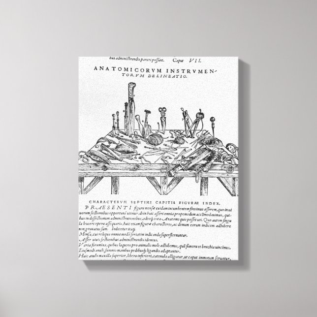 Impressão Em Tela Instrumentos para seções, ilustração de De (Frente)