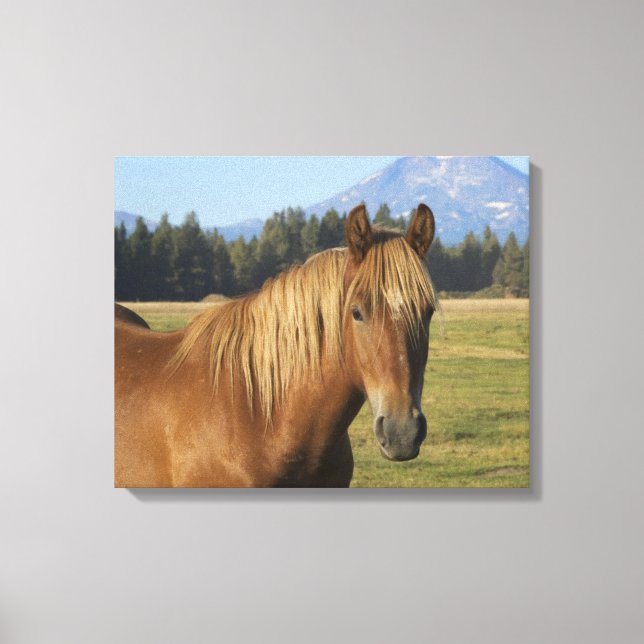 Impressão Em Tela Intervalo em Cascata | Chestnut Horse (Frente)