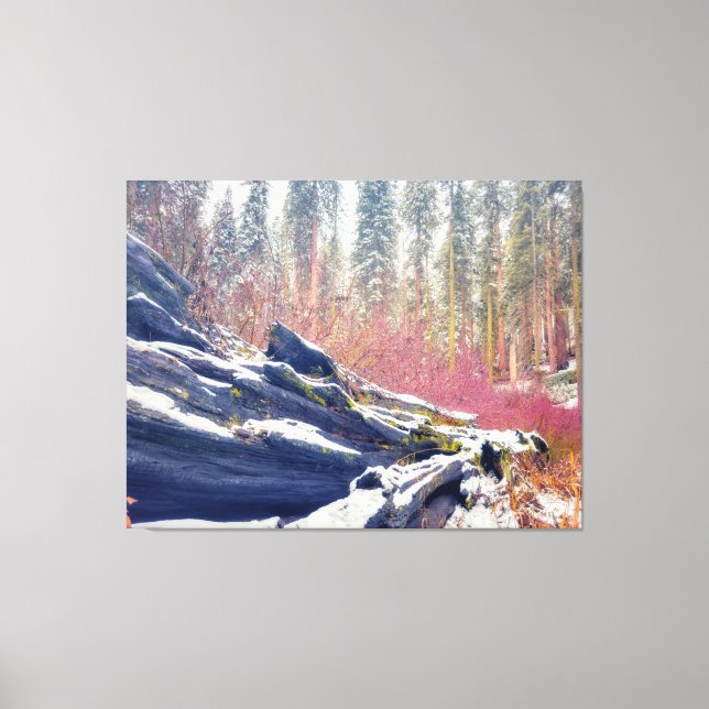 Impressão Em Tela Inverno na Floresta (Frente)